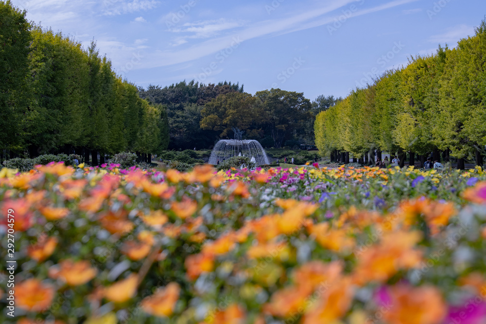 Obraz premium 公園