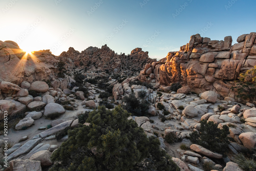 Joshua Tree National Park is an American national park in California, east of Los Angeles. The park is named for the Joshua trees native to the Mojave Desert. Tourism, travel USA, beautiful landscape