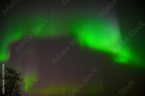 Northern polar light Aurora borealis multicolour light iluminated under the starry dark  sky