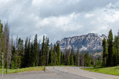 A panorama in a national forest in Wyoming photo