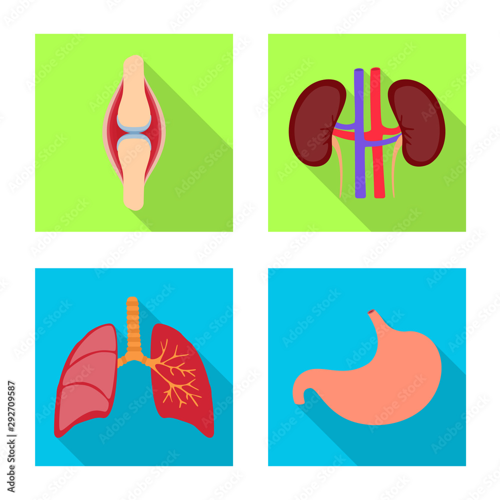 Isolated object of human and health icon. Collection of human and scientific vector icon for stock.