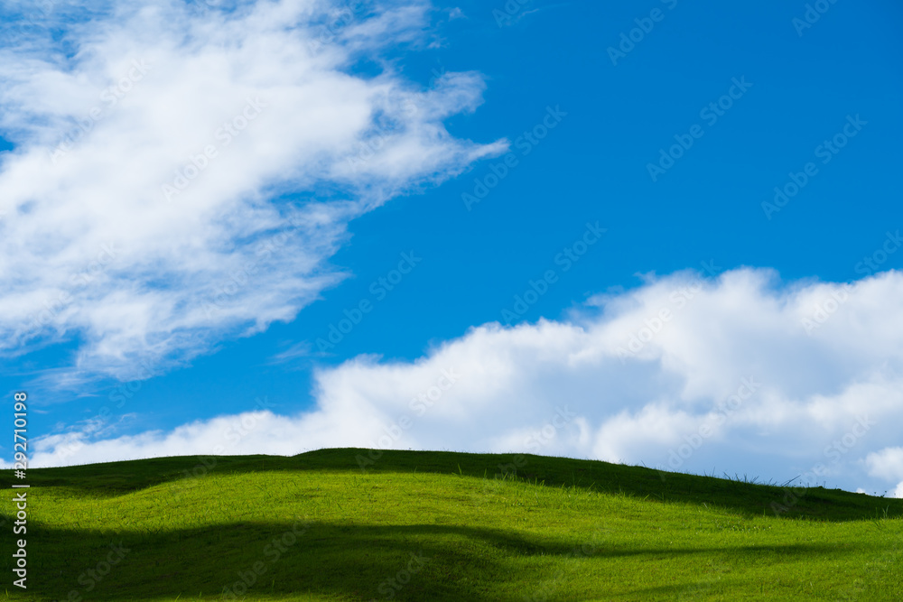 Green grassland background as the sky and clouds Green grassland background as the sky and clouds