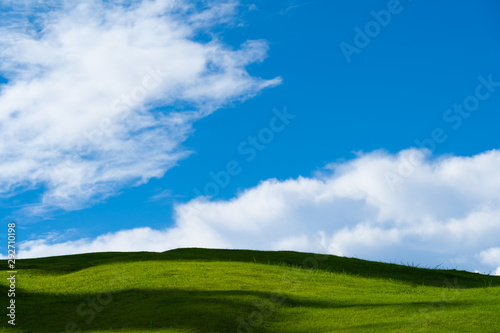Green grassland background as the sky and clouds