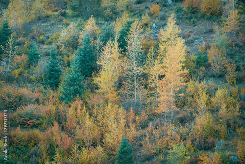 Fall Colors In Washington State