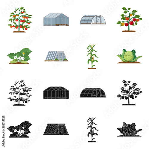 Isolated object of greenhouse and plant symbol. Collection of greenhouse and garden stock symbol for web.