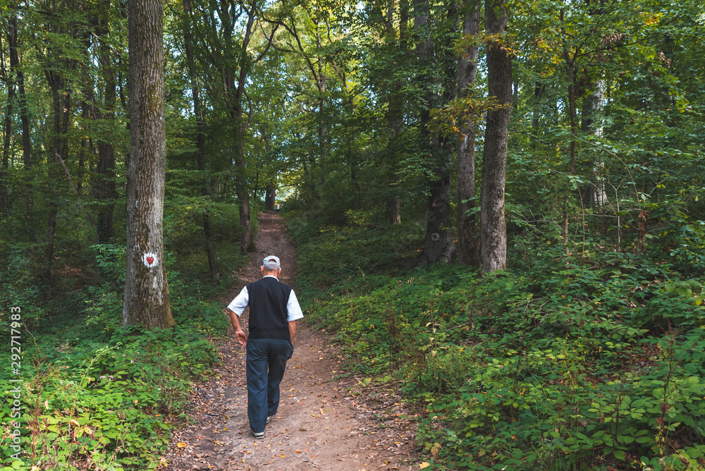 The elderly man enjoys nature and walks the path through the forest The elderly man enjoys nature and walks the path through the forest