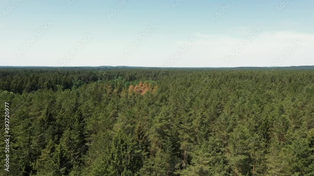 The camera flies over a picturesque forest The camera flies over a picturesque forest