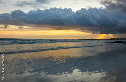 Playa Bah  a Tortuga  Isla Santa Cruz  Islas Galapagos  Ecuador