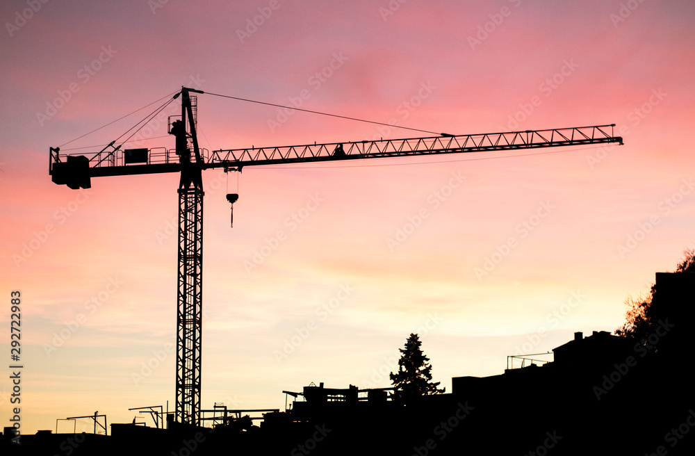 Crane at a beautiful sunset. Light grain in the sky.