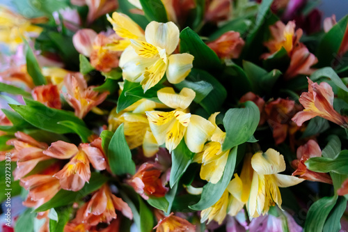 bouquet of yellow tulips