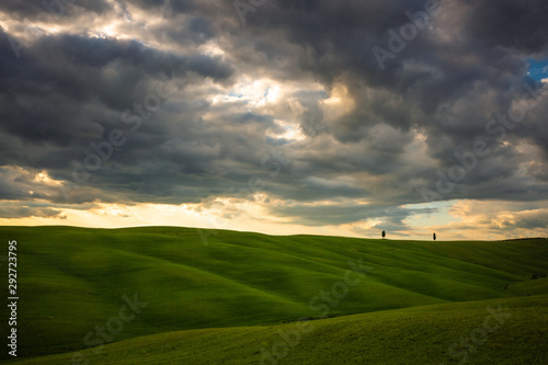 Impressive spring landscape,view with vineyards and cypresses,tuscany,italy