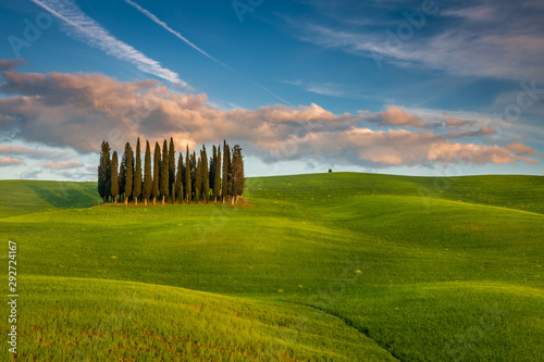 Impressive spring landscape,view with vineyards and cypresses,tuscany,italy