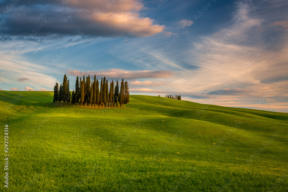 Impressive spring landscape,view with vineyards and cypresses,tuscany,italy