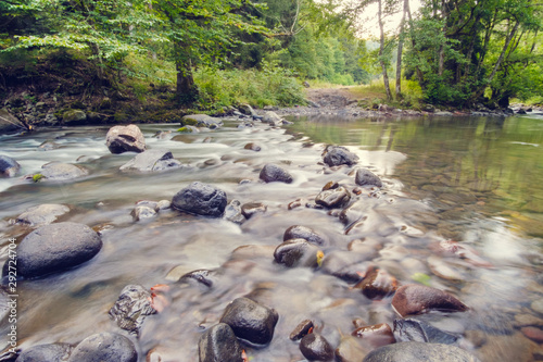 River in the forest