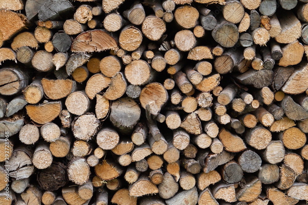 Cross section of many cut branches Cross section of many cut branches