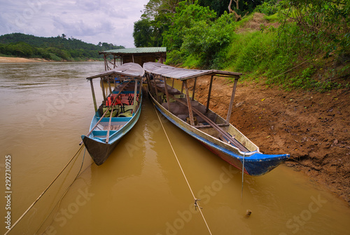 Colored wooden boats to transport passengers  moored in the jungle river of Taman Negara  Malaysia.