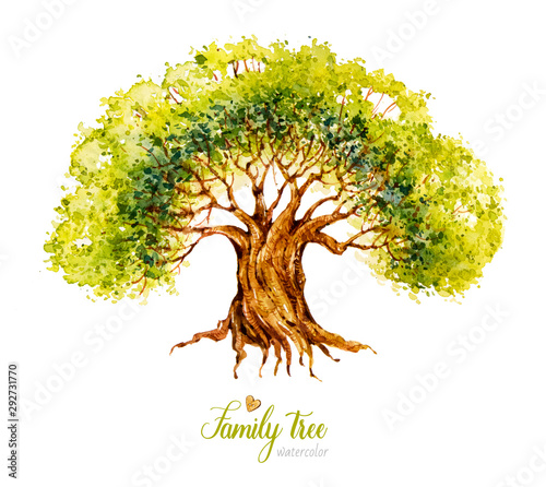 Watercolor tree. Genealogical Family tree. Watercolor botanical illustration. Nature. Deciduous Tree. 