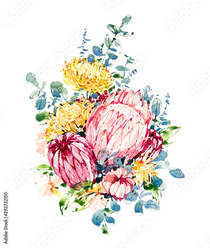 Fototapeta Naklejka Na Ścianę i Meble -  Watercolor flowers. Watercolor botanical illustration. Sketch. Botanic. A tender bouquet on a white background. Watercolor protea