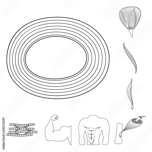 Vector design of fiber and muscular sign. Set of fiber and body stock symbol for web.