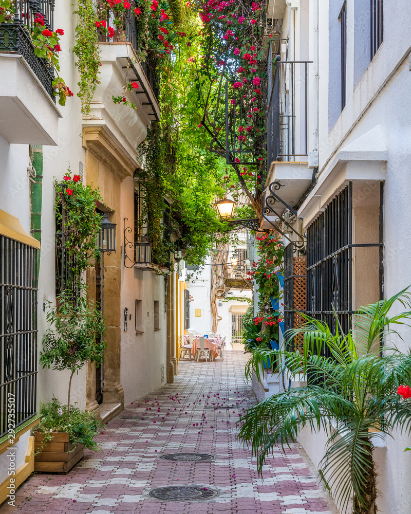 Fototapeta Malownicza i wąska ulica na starym mieście w Marbelli, w prowincji Malaga, Andaluzja, Hiszpania.