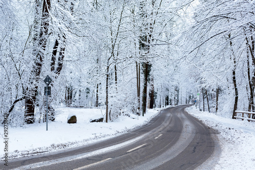 Winter path with frozen trees