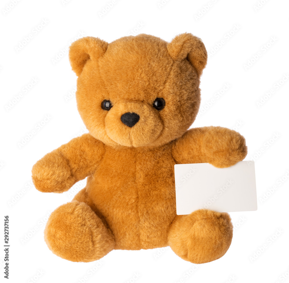 Obraz premium toy bear holding empty card isolated without shadow clipping path