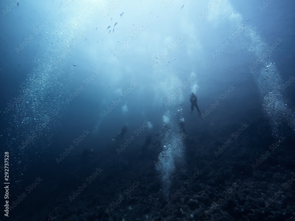 Fototapeta premium Scuba diver descending to the bottom