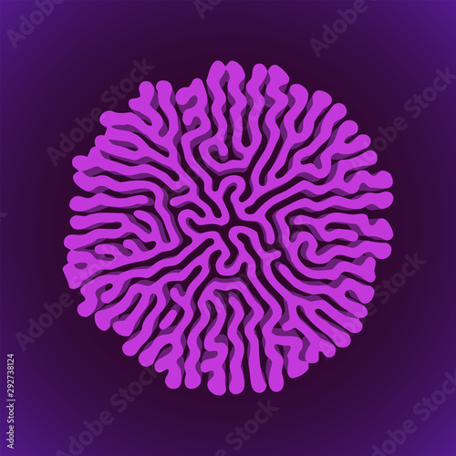 turing morphogenesis reaction diffusion element.