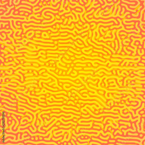 turing morphogenesis reaction diffusion pattern.