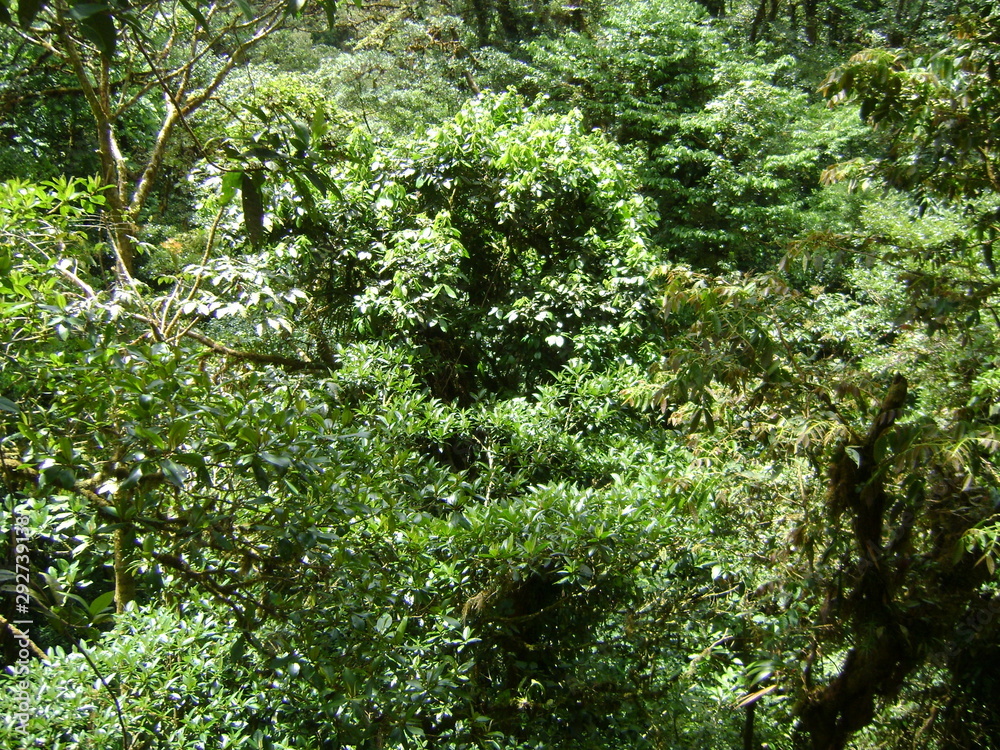 Obraz premium costa rica