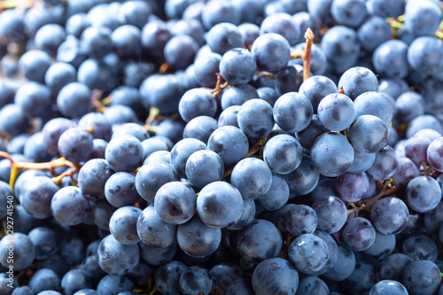 ripe grapes as background