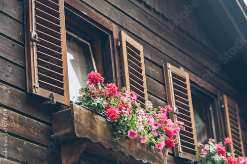 pink flowers decoration at wooden windows with shutters