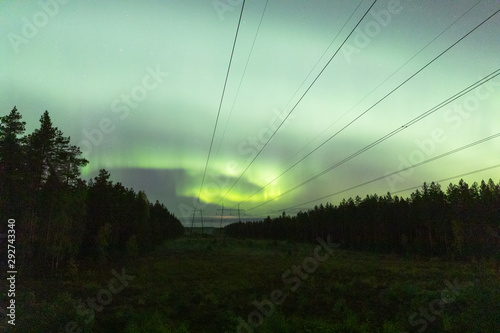 Aurora borealis above the power line