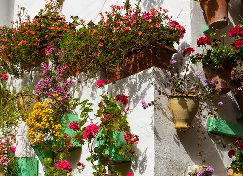 Plantas decorativas en una calle de Córdoba