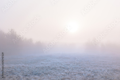 Beautiful autumn misty sunrise landscape. November foggy morning and hoary frost on the grass at scenic meadow.