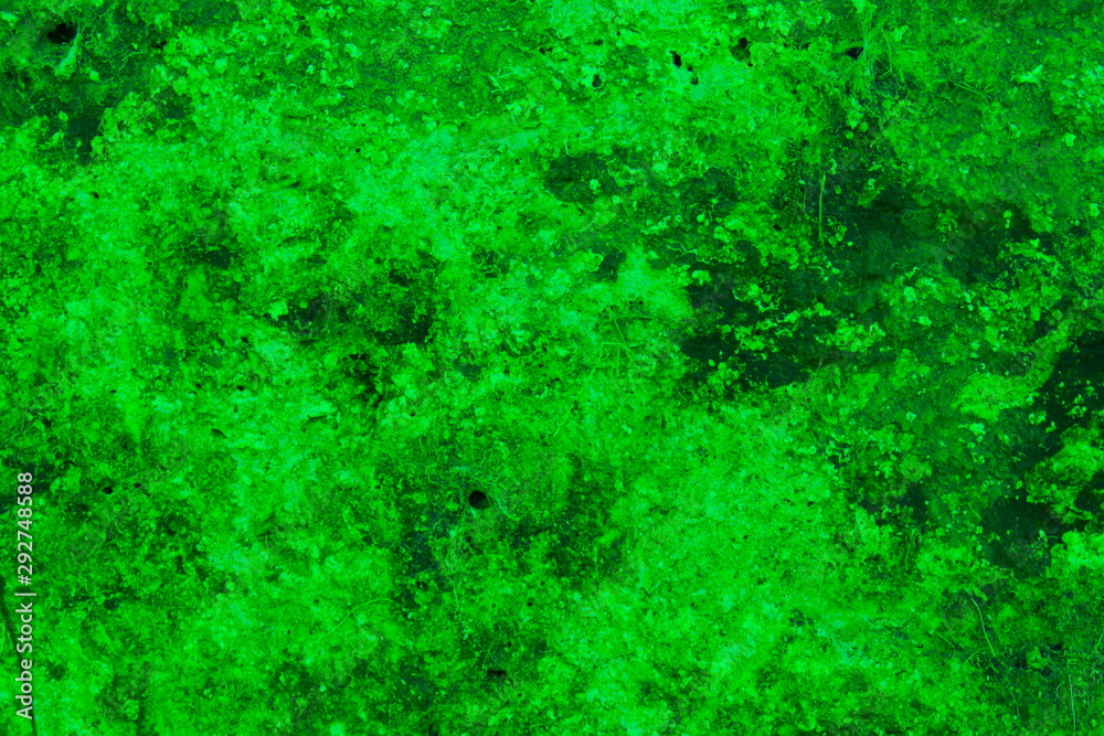 Green abstract wall texture for background
