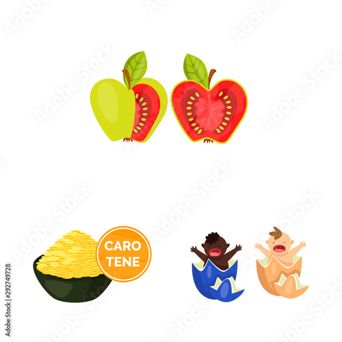 Isolated object of modified and genetically icon. Set of modified and science stock symbol for web.