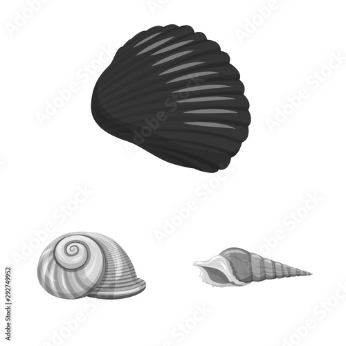 Vector design of aquarium and aquatic symbol. Collection of aquarium and decoration stock vector illustration.