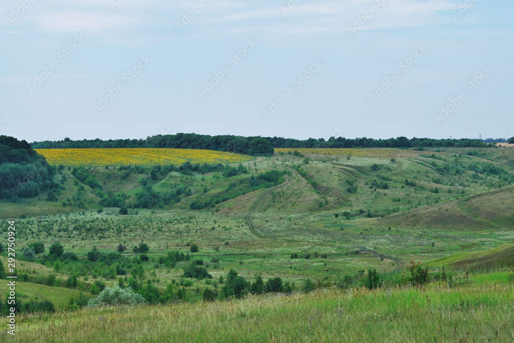 Landscape, plain. Nature reserve.