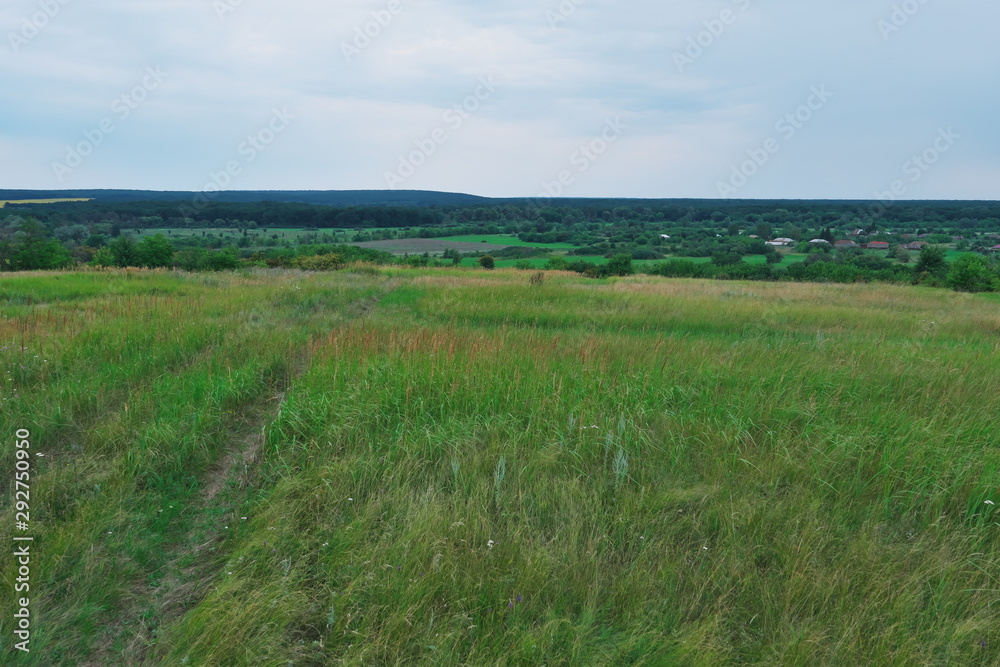 Landscape, plain. Nature reserve.