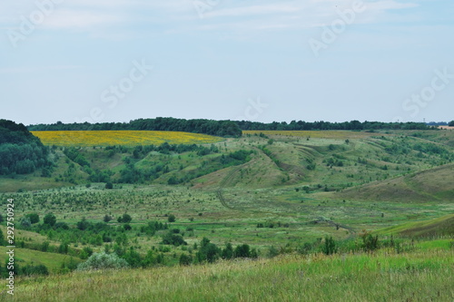 Landscape  plain. Nature reserve.