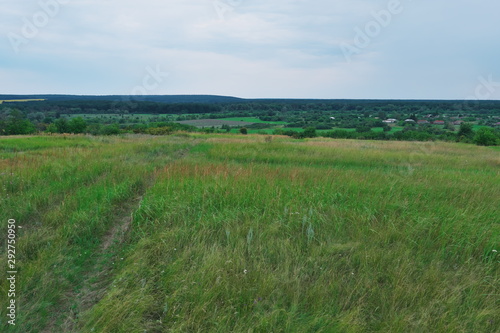 Landscape  plain. Nature reserve.