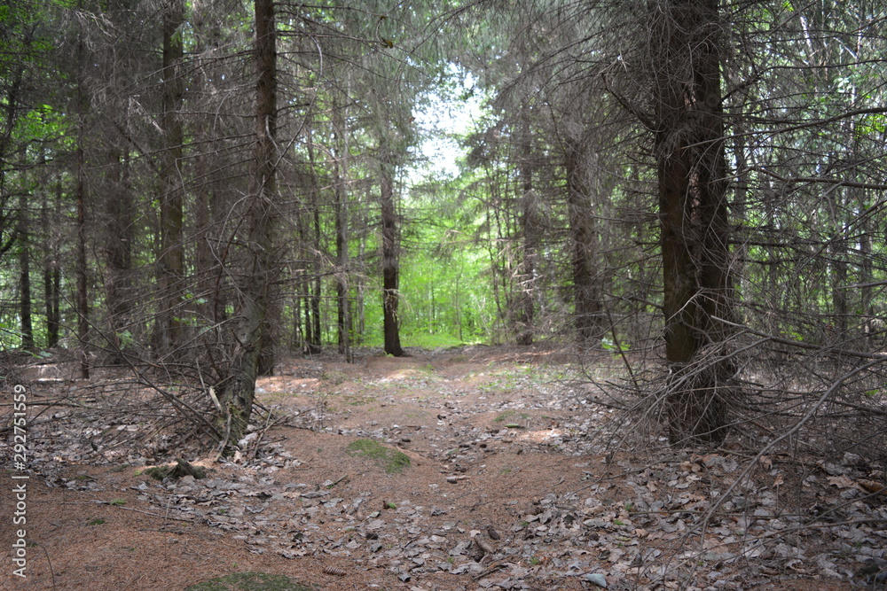 Obraz premium Cheboksary