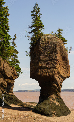 Flower pot sandstone rock structures at low tide, Hopewell Cape on the Bay of Fundy.