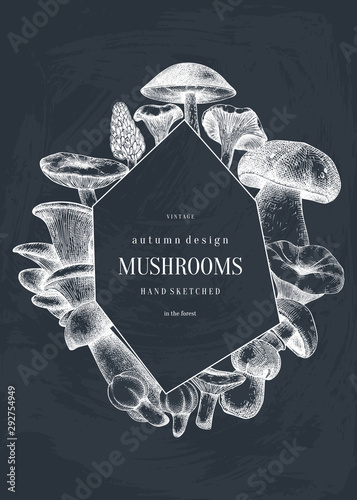 Vintage wreath design with hand drawn mushrooms. Autumn forest vector background. Perfect for recipe, menu, label, icon, packaging. Vintage mushrooms template with geometric elements.