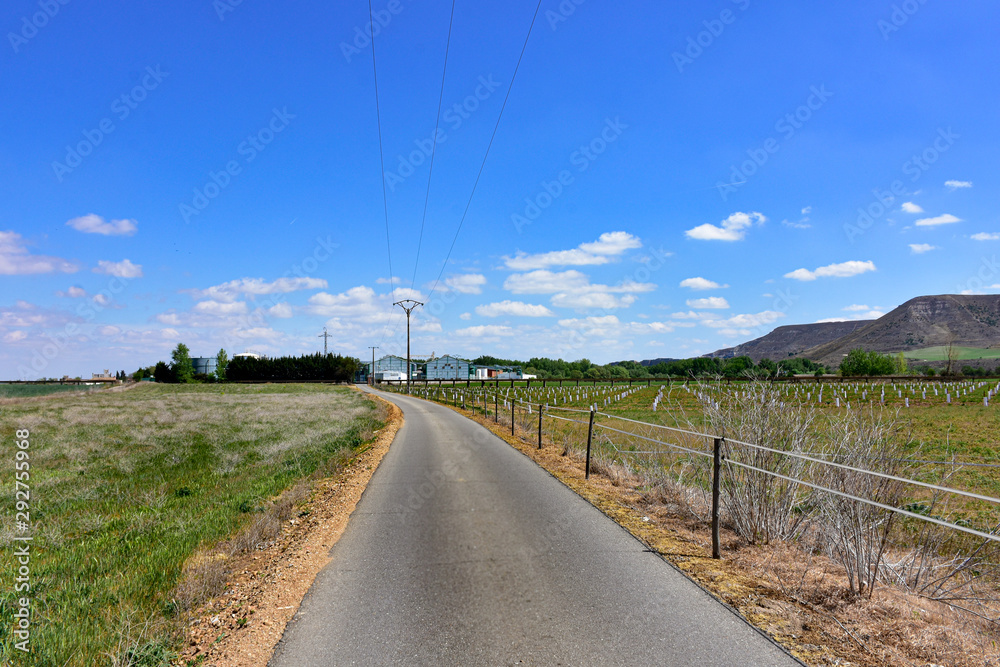 crop field next to the canal under a teaching sky crop field next to the canal under a teaching sky
