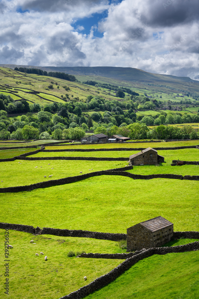 Drystone walls and Swaledale sheep barns in Valley of the River Swale near Gunnerside Richmond North Yorkshire England