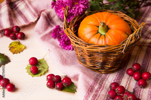 Autumn background with pumpkins in basket, berries and flowers on wooden background, copy space. Happy Thanksgiving Day Background. Halloween pumpkin. Pumpkin for autumn Harvest Festival. Autumn scene