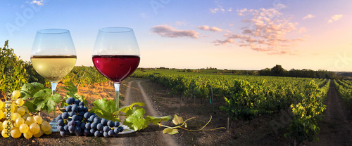 Verres de vin et vignes en France
