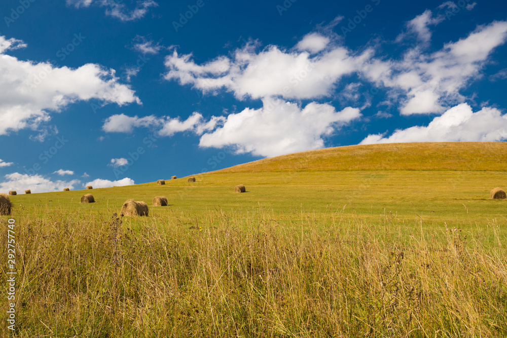 Meadow. Haystacks  landscape